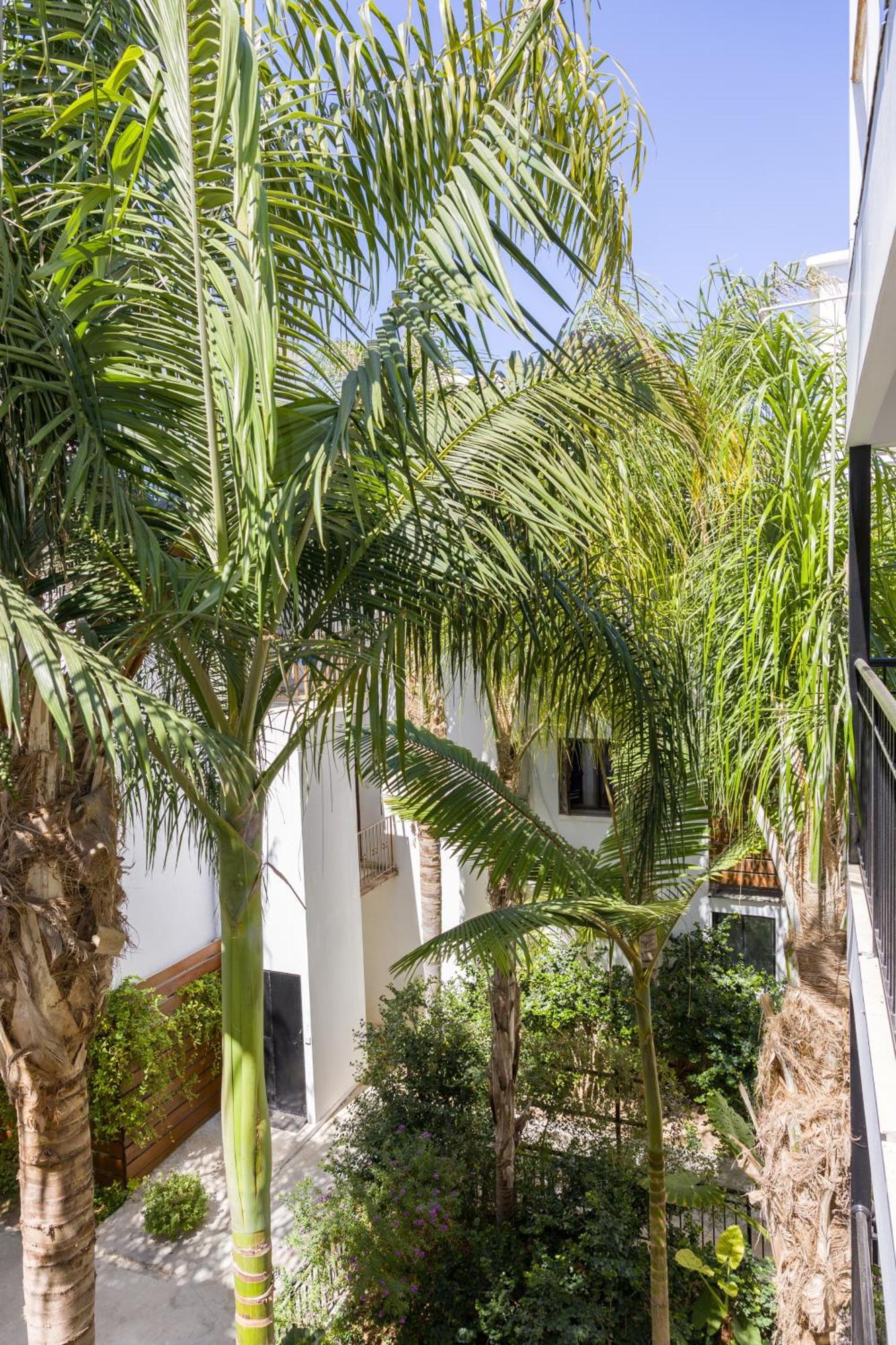Alecos Hotel Apartments Pafos Exterior foto